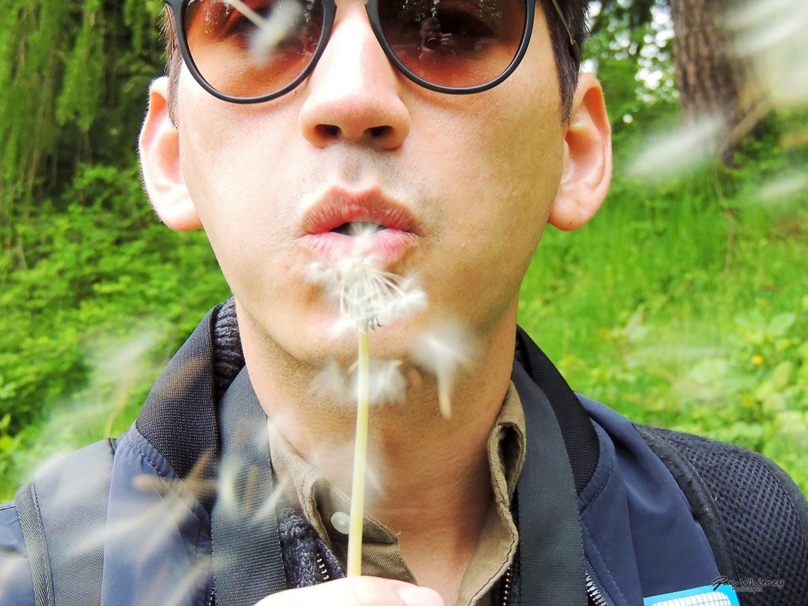 BlowingDandelionFluff